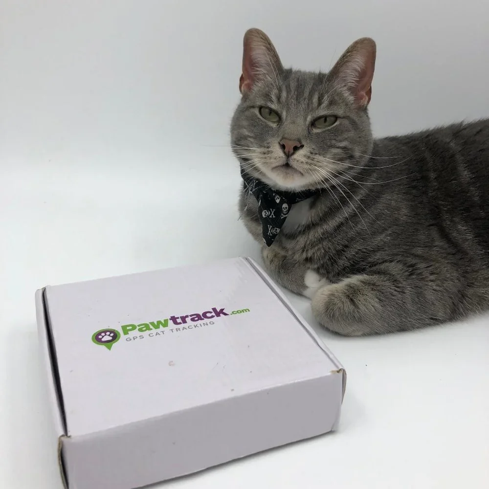 PAWTRACK GPS CAT TRACKING ADJUSTABLE USB COLLAR, New in box